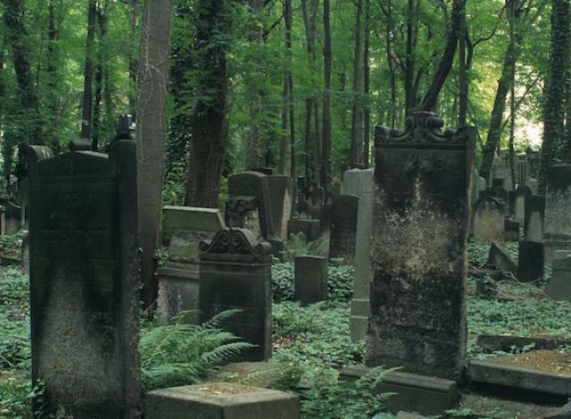 Ghosts of Weißensee—the cemetery played on