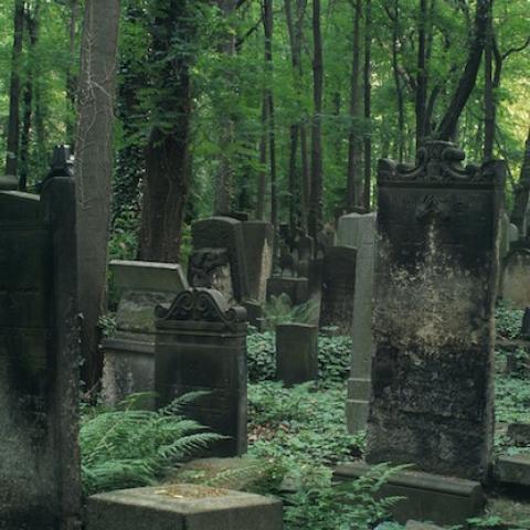 Ghosts of Weißensee—the cemetery played on